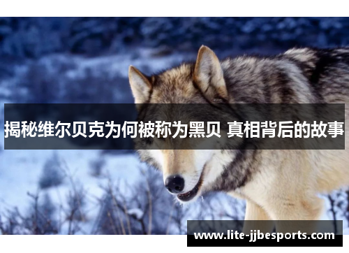 揭秘维尔贝克为何被称为黑贝 真相背后的故事