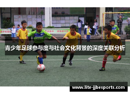 青少年足球参与度与社会文化背景的深度关联分析