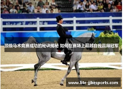顶级马术竞赛成功的秘诀揭秘 如何在赛场上超越自我赢得冠军