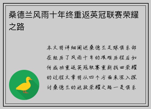 桑德兰风雨十年终重返英冠联赛荣耀之路 桑德兰风雨十年终重返英冠联赛荣耀之路